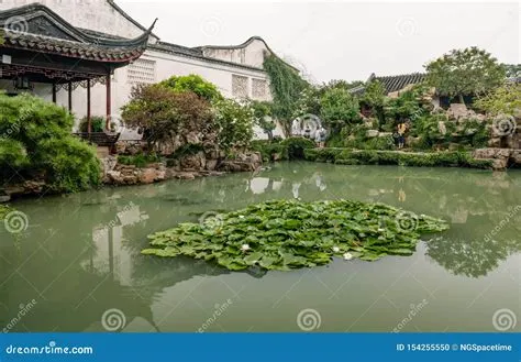 Wangshi Garden – En oas av lugn mitt i Suzhous brusande liv!